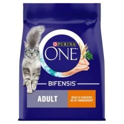 Purina ONE Adult Chicken & Whole Grains Dry Cat Food