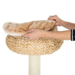 Banana Leaf Bali Cat Tree -Trixie Store 105457 banana leaf kratzbaum bali fg 8 5