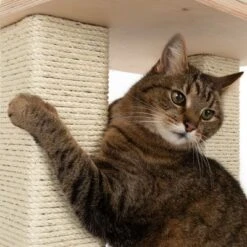 Natural Paradise Scratching Tree - Orchid L -Trixie Store 109398 katze fg 9367 9