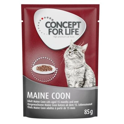 Concept For Life Maine Coon Adult - In Ragout 3 Concept For Life Maine Coon Adult - In Ragout