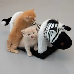 Shira Scratching Toy 12 Shira Scratching Toy -Trixie Store 111498 mit katzen fg 1693 3