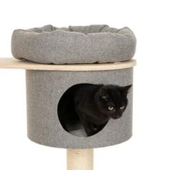 Modern Living Ferrara Scratching Tree 17 Modern Living Ferrara Scratching Tree -Trixie Store 115906 modern living kb ferrara fg 4319 8