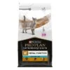 Purina Veterinary Diets Feline NF - Renal