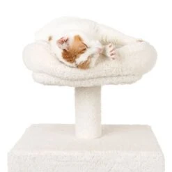 La Digue II Cat Tree -Trixie Store 126196 mit katze fg 4520 1