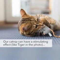 Kater Kasimir Catnip 11 Kater Kasimir Catnip -Trixie Store 144896 asaquaristik kater kasimir katzenminze cat 60g hs 06 3