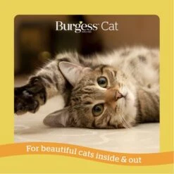 Burgess Adult Cat Rich In Chicken With Duck -Trixie Store 1624624427220 4 4