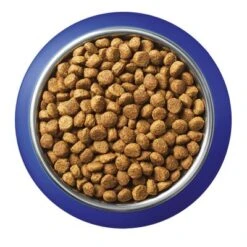 Purina ONE Indoor Turkey & Whole Grains Dry Cat Food -Trixie Store 195931 kibbles min 3