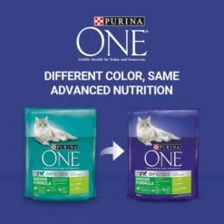 Purina ONE Indoor Turkey & Whole Grains Dry Cat Food -Trixie Store 195931 transitionpack min 3