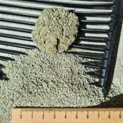 Trixie Store -Trixie Store 1 130196 130096 schulze professional classic katzenstreu hs 01 8