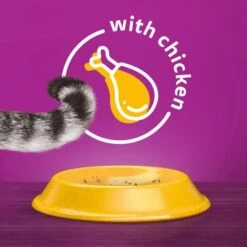 Whiskas 1+ Chicken -Trixie Store 1 5900951014352 si06 uk 5