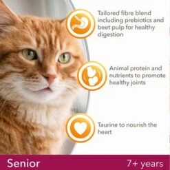 IAMS For Vitality Senior Fresh Chicken Dry Cat Food 11 IAMS For Vitality Senior Fresh Chicken Dry Cat Food -Trixie Store 1 8710255127859 2