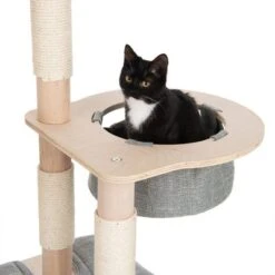 Ankara Cat Tree 17 Ankara Cat Tree -Trixie Store 216096 kratzbaum ankara fg 8999 2