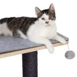 Raleigh Scratching Tree 17 Raleigh Scratching Tree -Trixie Store 216199 kratzbaum raleigh fg 8247 8
