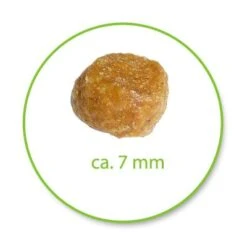 PURINA PRO PLAN Kitten Healthy Start - Rich In Chicken -Trixie Store 2165 ppk kitten 4