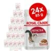 Royal Canin Wet Cat Food Saver Pack 24 X 85g -Trixie Store 232783 neu 3