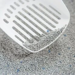 Intersand Classic Pine Forest Scented Cat Litter 10 Intersand Classic Pine Forest Scented Cat Litter -Trixie Store 248818 intersand classic katzenstreu pinienwald hs 03 8