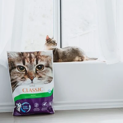 Intersand Classic Pine Forest Scented Cat Litter 6 Intersand Classic Pine Forest Scented Cat Litter - Image 4
