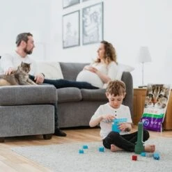 Intersand Classic Pine Forest Scented Cat Litter 12 Intersand Classic Pine Forest Scented Cat Litter -Trixie Store 248818 intersand classic katzenstreu pinienwald hs 05 8