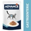 Advance Veterinary Diets Feline Gastroenteric 1 Advance Veterinary Diets Feline Gastroenteric -Trixie Store 310096 affinityspain advance veterinarydiets feline gastroenteric 24x85g hs 06 6