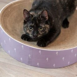 Trixie Scratching Bed Lilly -Trixie Store 332797 trixie kratzbett lilly hs 07 3