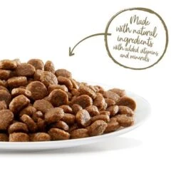 Applaws Adult Chicken With Lamb -Trixie Store 361998 applaws adult huhn lamm 400g hs 05 5