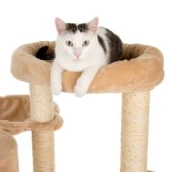 Bear's Den Cat Tree -Trixie Store 49702 kratzbaum baerenhoehle fg 4761 6