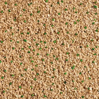 Cat's Best Sensitive 5 Cat's Best Sensitive - Image 3