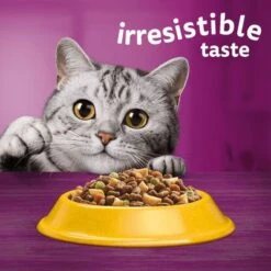 Whiskas 1+ Chicken -Trixie Store 5900951014352 si02 uk 4