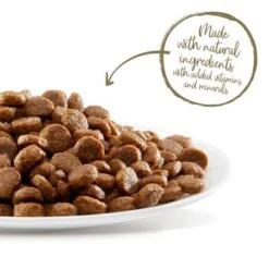 Applaws Senior Cat Food -Trixie Store 64847 64768 applaws senior huhn hs 5 1 6