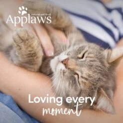 Applaws Senior Cat Food -Trixie Store 64847 64768 applaws senior huhn hs 8 1 4