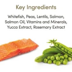 Applaws Cat Food Economy Packs -Trixie Store 71009 applaws adult meeresfisch lachs hs 02 5