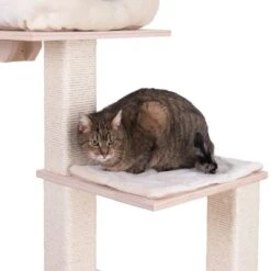 Natural Paradise Scratching Tree - Orchid Vanda L -Trixie Store 75552 kratzbaum np quadra fg 6204 8