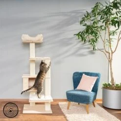 Natural Paradise Scratching Tree - Orchid Vanda L