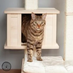 Natural Paradise Scratching Tree - Orchid Vanda L -Trixie Store 75552 np kb qiii 1000x1000 logo la mg 5796 4