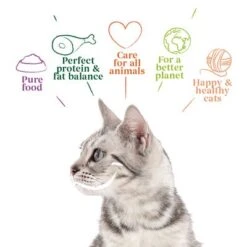 Yarrah Organic Fillets In Sauce 14 X 85g -Trixie Store 8122 cat pouch beef 85g 8714265000843 2 9