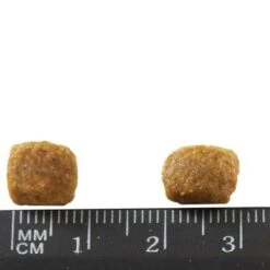 Purina ONE Senior +11 Chicken 12 Purina ONE Senior +11 Chicken -Trixie Store 81611 purinaone senior 11huhn 1 5kg hs 03 2