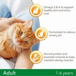 IAMS For Vitality Adult Fresh Chicken Dry Cat Food 13 IAMS For Vitality Adult Fresh Chicken Dry Cat Food -Trixie Store 8710255125954 a 8