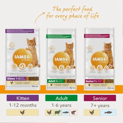 IAMS For Vitality Senior Fresh Chicken Dry Cat Food 6 IAMS For Vitality Senior Fresh Chicken Dry Cat Food - Image 4