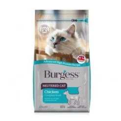 Burgess Neutered Cat