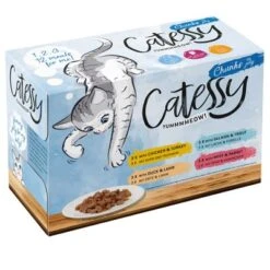 Catessy Chunks Pouches Saver Pack 48 X 100g -Trixie Store catessy 12er karton cijelly rz 300719 1000x1000 7