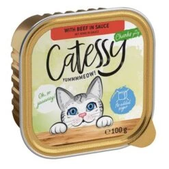 Catessy Trays Mixed Packs Mega Saver Pack 64 X 100g -Trixie Store catessy chunks beefinsauce 100g 1000x1000 2