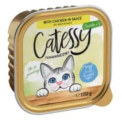 Catessy Trays Mixed Packs Mega Saver Pack 64 X 100g -Trixie Store catessy chunks chickeninsouce 100g 1000x1000 9