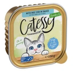 Catessy Trays Mixed Packs Mega Saver Pack 64 X 100g -Trixie Store catessy chunks codinsauce 100g 1000x1000 0