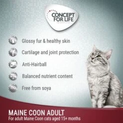 Concept For Life Maine Coon Adult - In Ragout 9 Concept For Life Maine Coon Adult - In Ragout -Trixie Store cfl cat wet board maine coon adult 0
