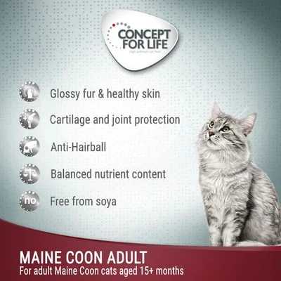 Concept For Life Maine Coon Adult - In Ragout 6 Concept For Life Maine Coon Adult - In Ragout - Image 4