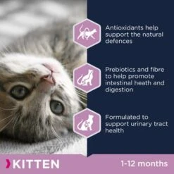 Eukanuba Healthy Start Kitten -Trixie Store eukanuba healthy start kitten dcf info 6