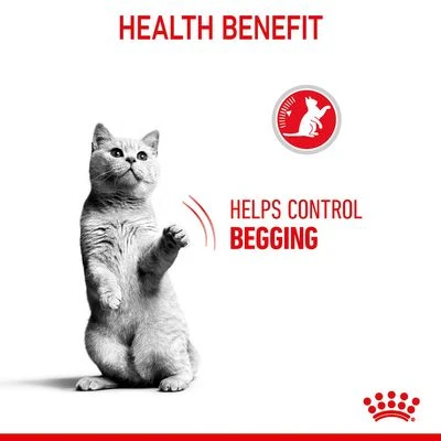 Royal Canin Appetite Control Care - Image 4