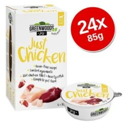Greenwoods Joy Saver Pack 24 X 85g