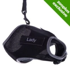 Trixie XCat XL Harness With Lead And Exclusive Stickers