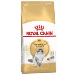 Royal Canin Norwegian Forest Cat Adult -Trixie Store la pla royalcanin adult nor 7